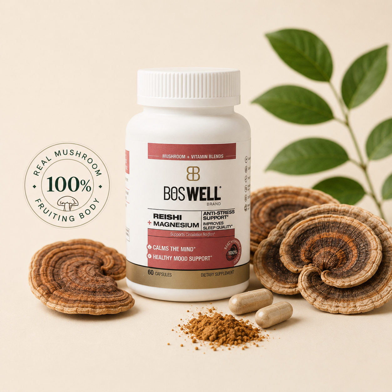 Mushroom supplement ingredients