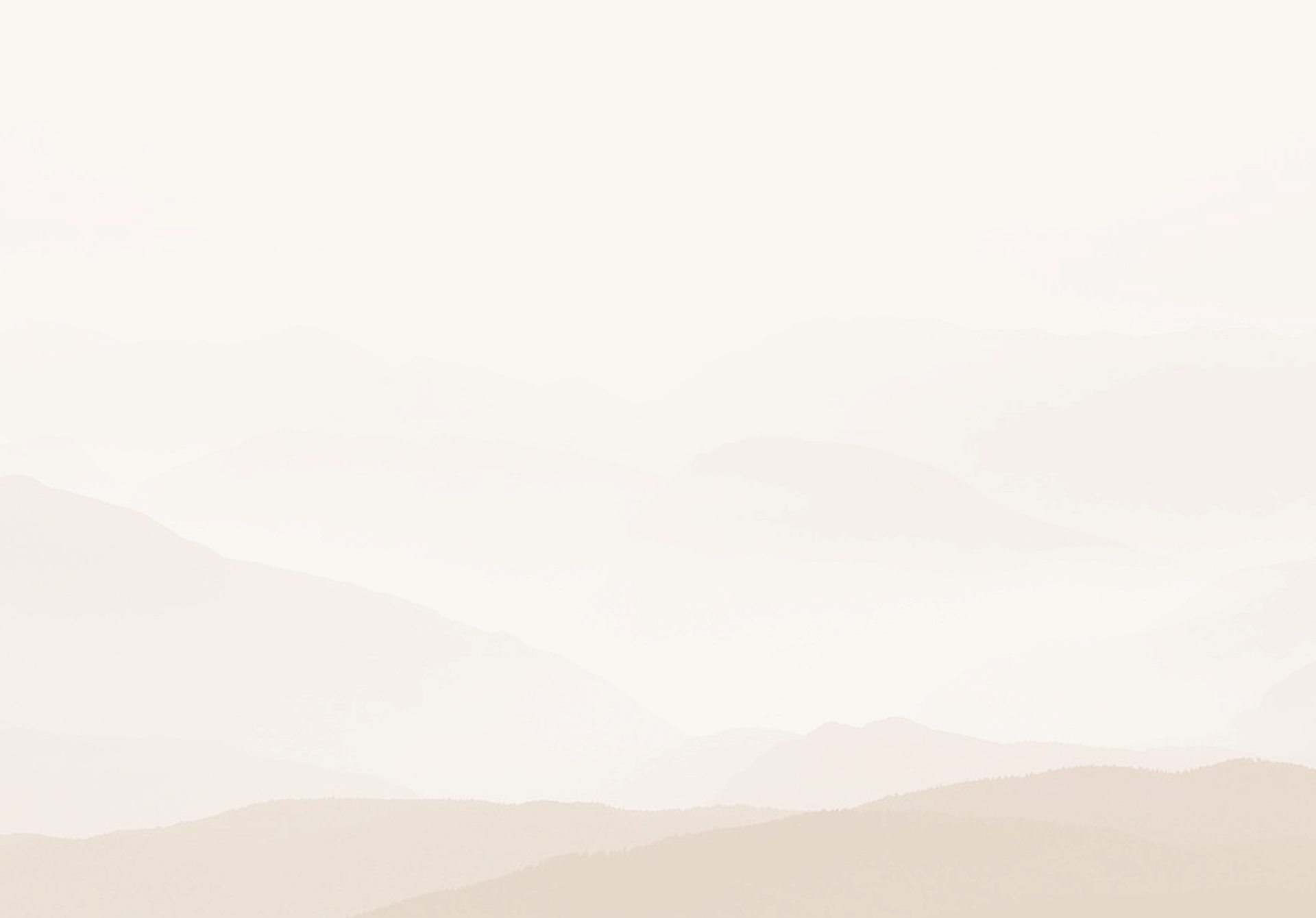 Section background texture